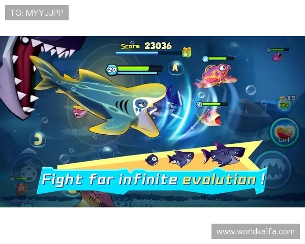 凯发娱乐官网地址官方入口2024年最新版本推荐确保玩家享受流畅游戏体验